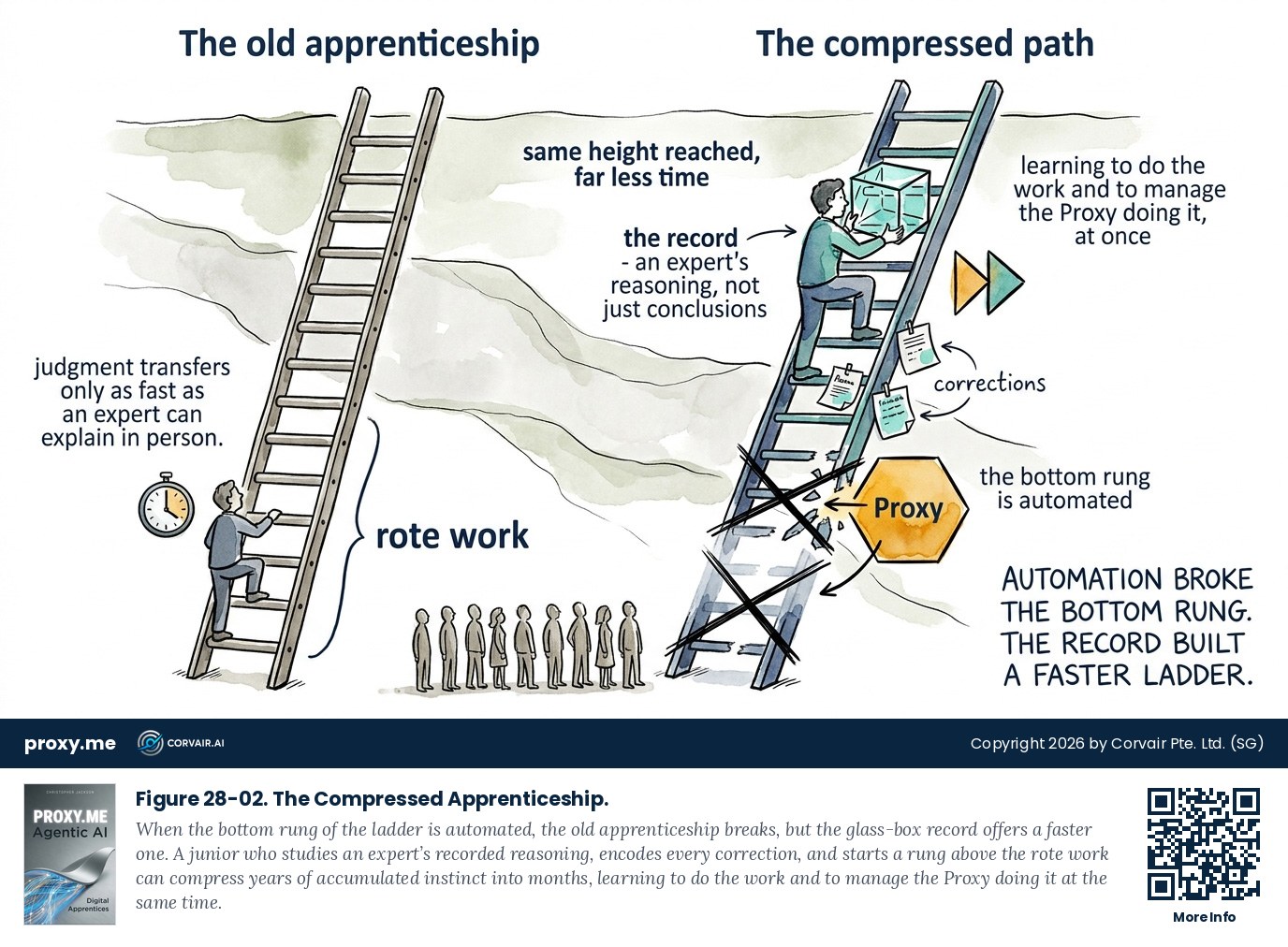 Figure 28-02. The Compressed Apprenticeship. When the bottom rung of the ladder is automated, the old apprenticeship breaks, but the glass-box record offers a faster one. A junior who studies an expert's recorded reasoning, encodes every correction, and starts a rung above the rote work can compress years of accumulated instinct into months, learning to do the work and to manage the Proxy doing it at the same time.